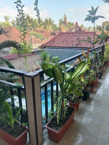 Grace Paradise Guest House Nusa Lembongan  Bagian luar foto