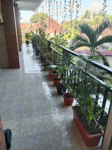 Grace Paradise Guest House Nusa Lembongan  Bagian luar foto